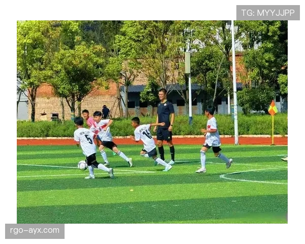 新星闪耀绿茵场：足球新势力崛起引领未来赛场变革